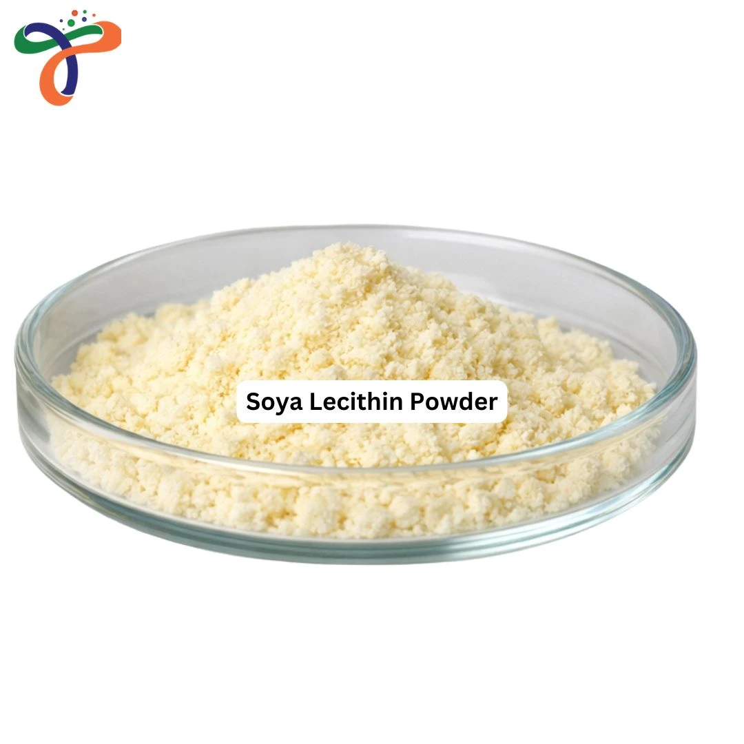 Soya Lecithin Powder