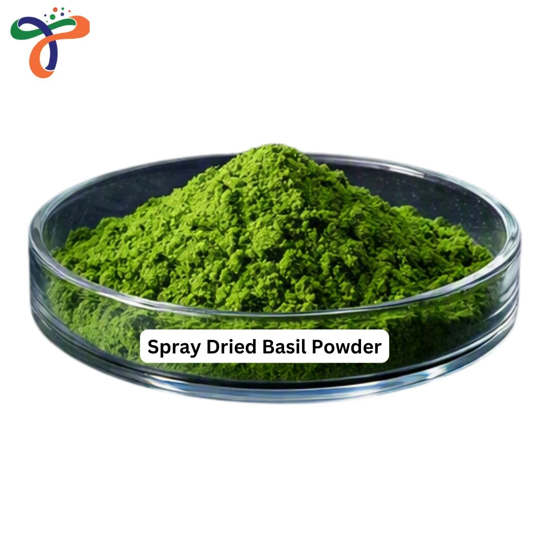 Spray Dried Basil Powder