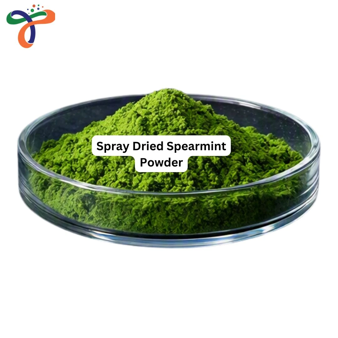 Spray Dried Spearmint Powder