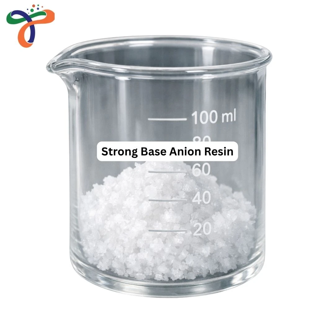 Strong Base Anion Resin