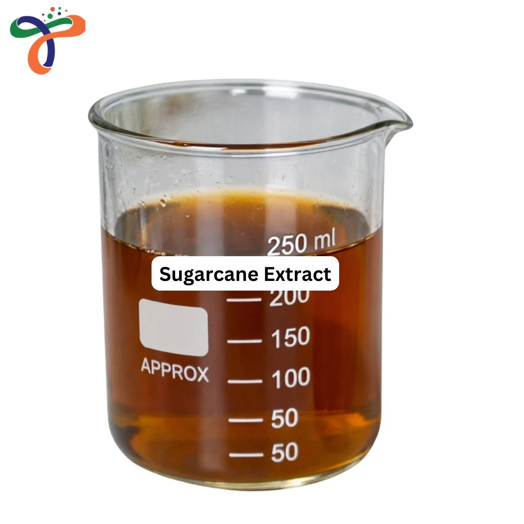 Sugarcane Extract