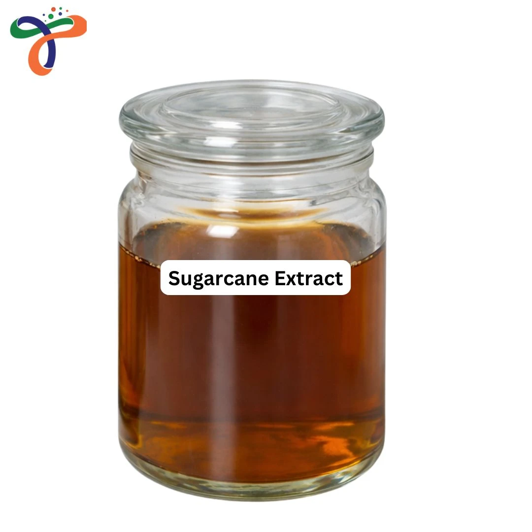 Sugarcane Extract
