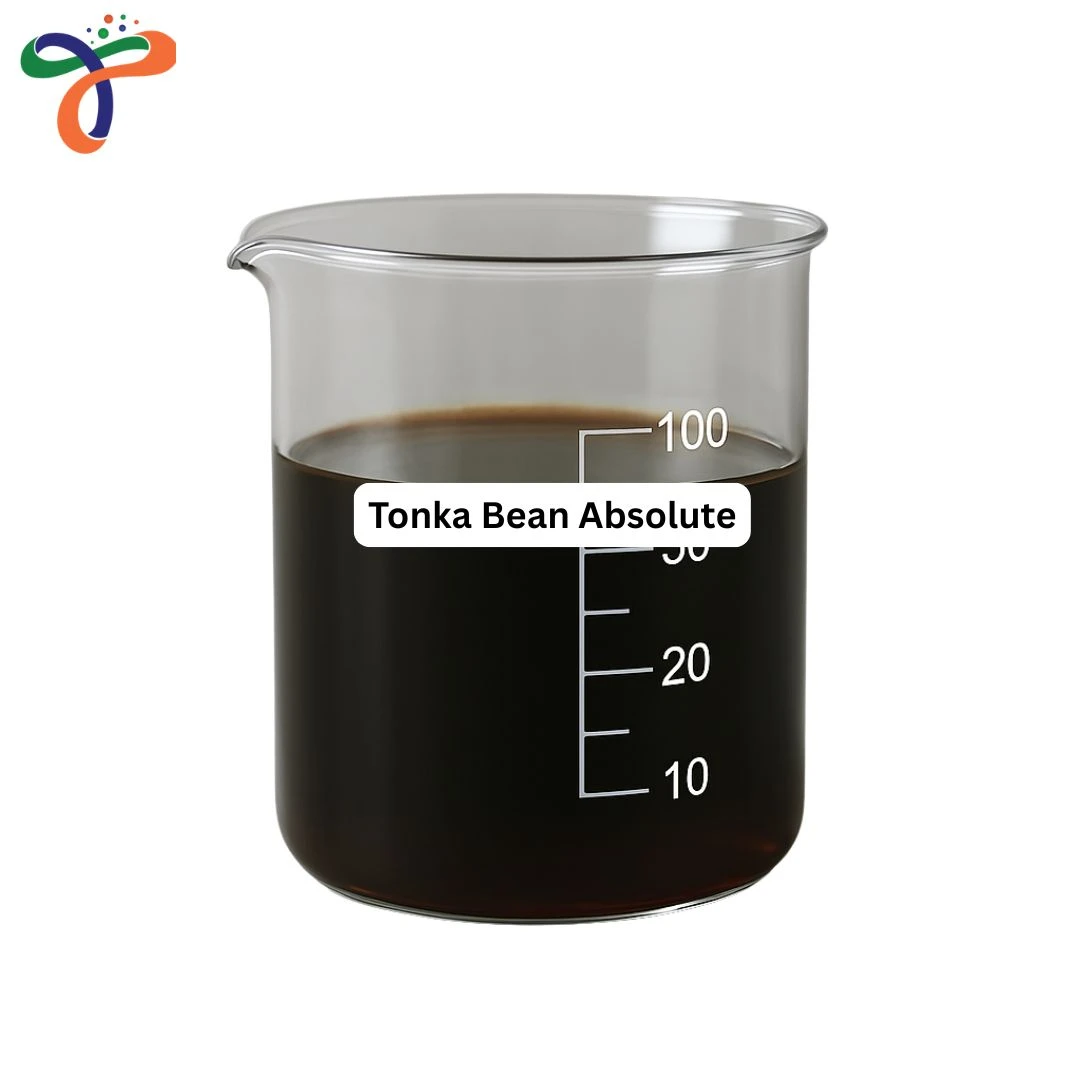 Tonka Bean Absolute