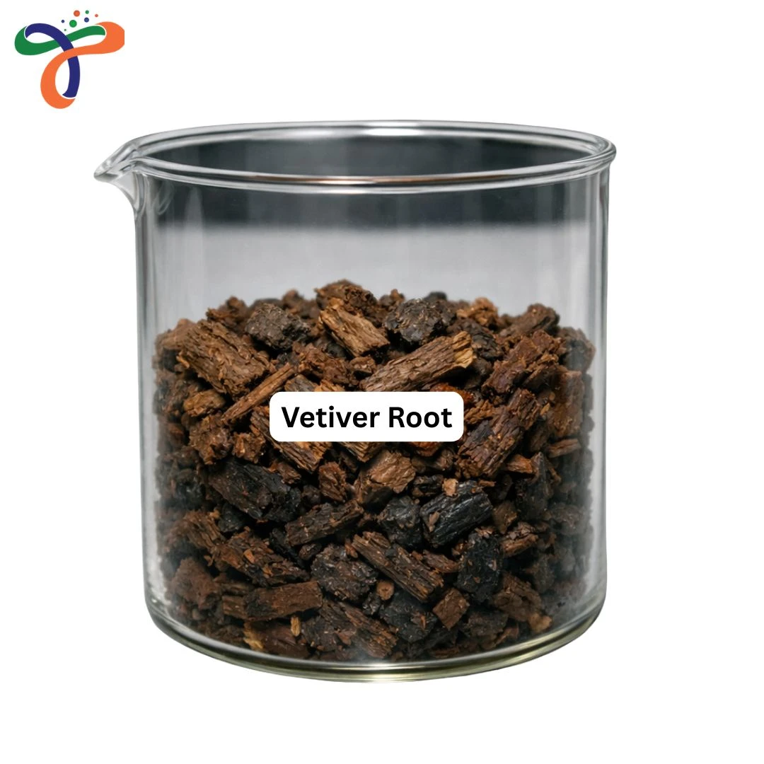 Vetiver Root