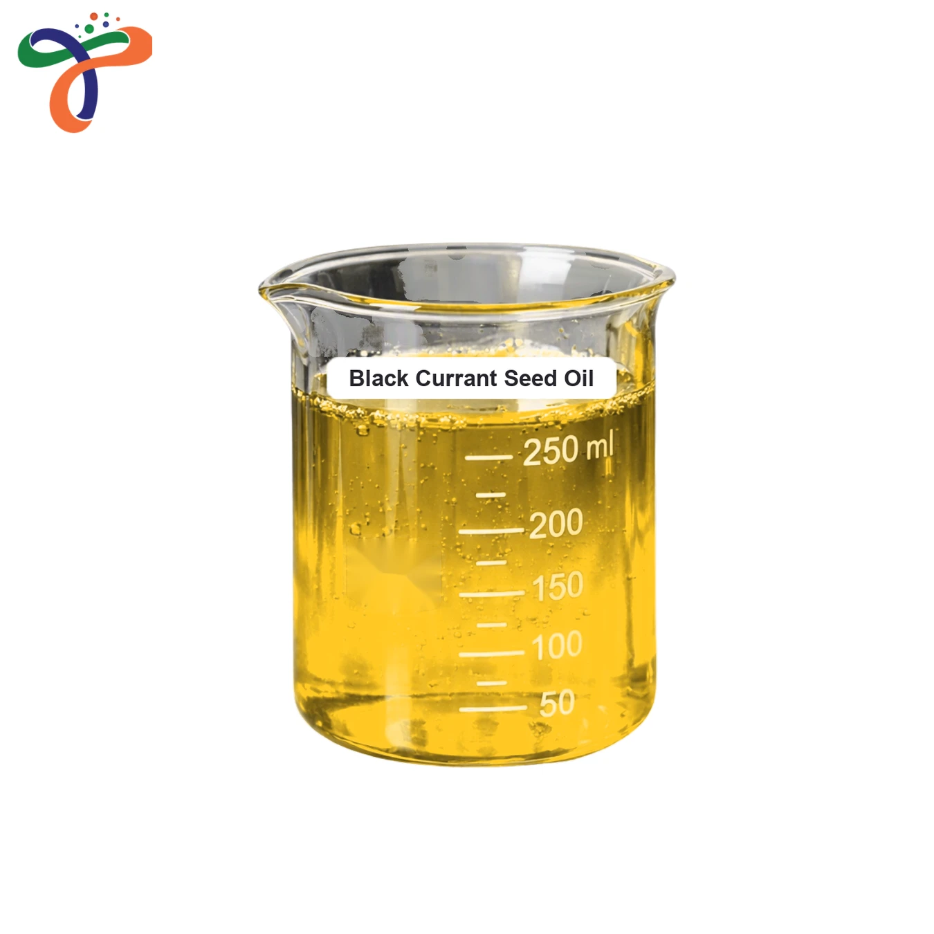 Black Currant Seed Oil