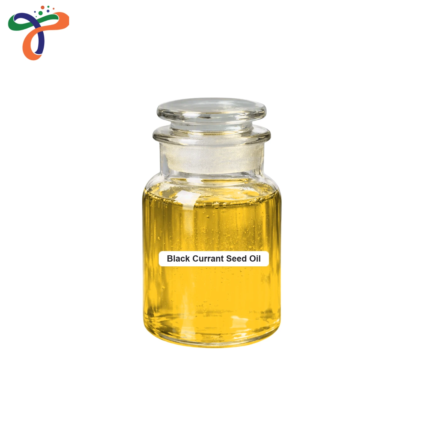 Black Currant Seed Oil